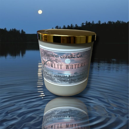 Moonlit waters